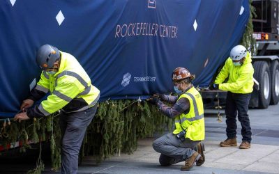 2021 Rockefeller Center Christmas Tree Wrap by National Flag & Display